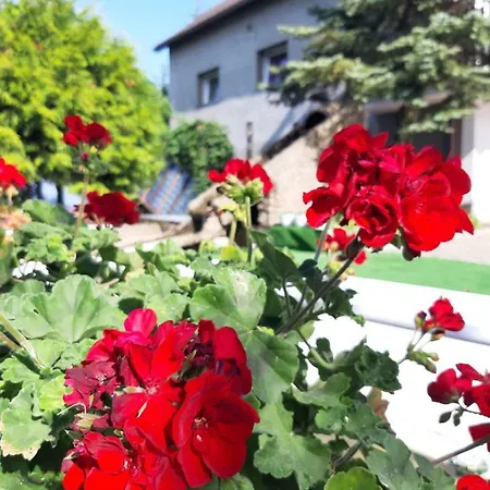 Privat bolig Pokoje Kwiatowe