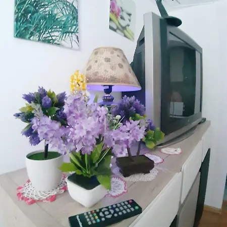 Privat bolig Pokoje Kwiatowe *